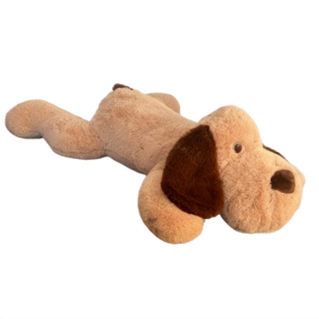 Hunden tom 1 meter
