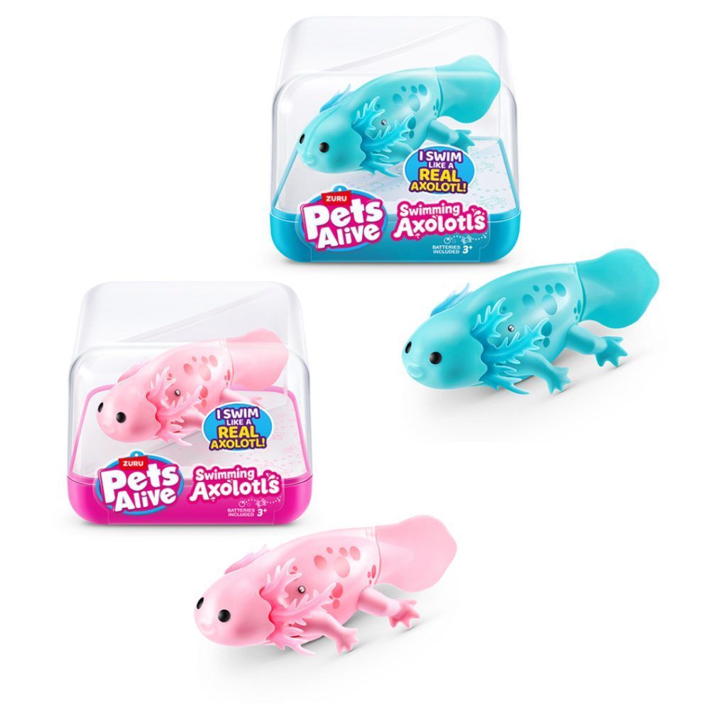 Pets alive swimming axolotl