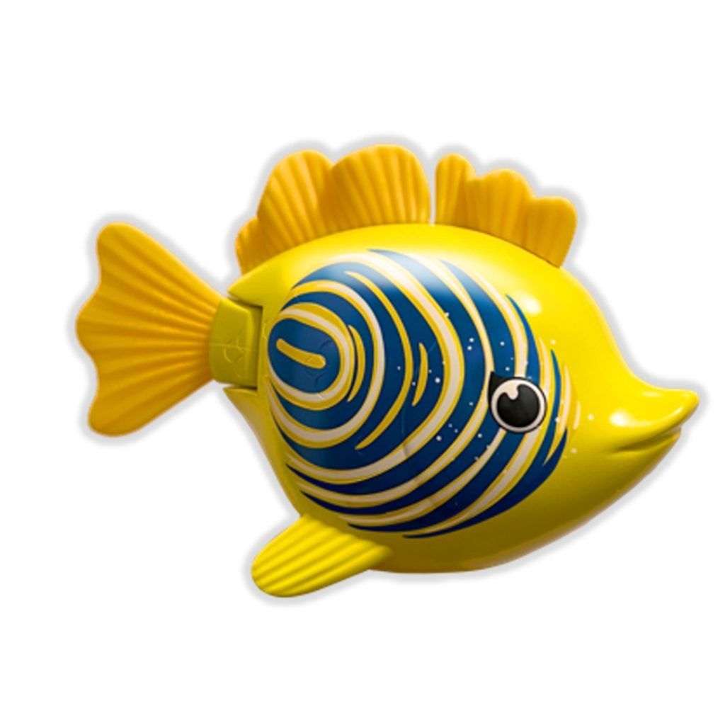 Rainbow reef fish zebra fish