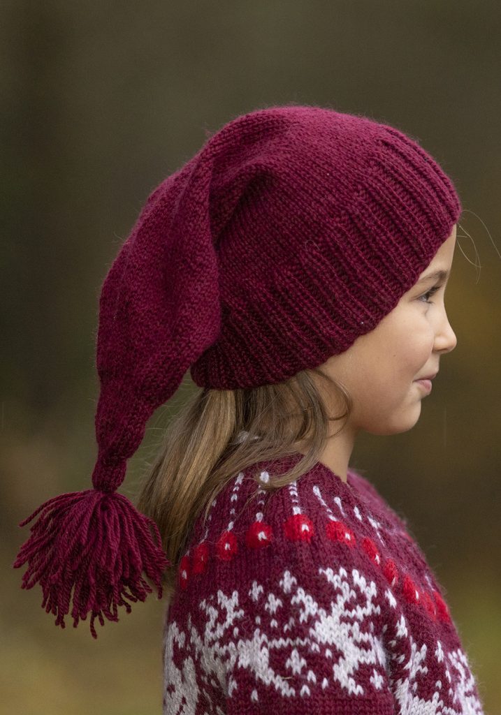 Nisse lue 2238-07b