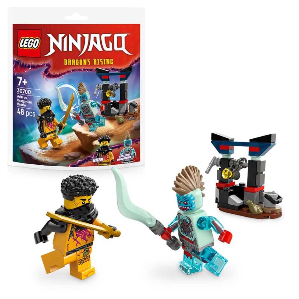 Lego kamp mellom arin og en dragon