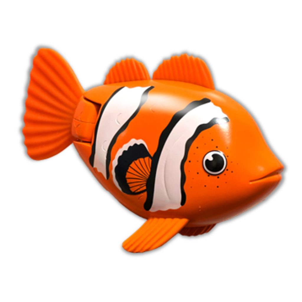 Rainbow reef fish clown fish