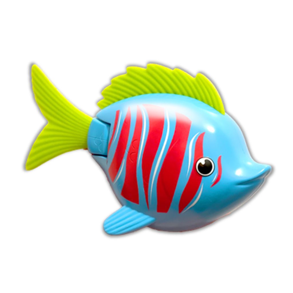 Rainbow reef fish beta fish
