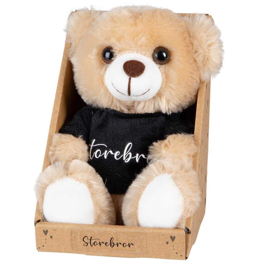 Teddybjørn storebror