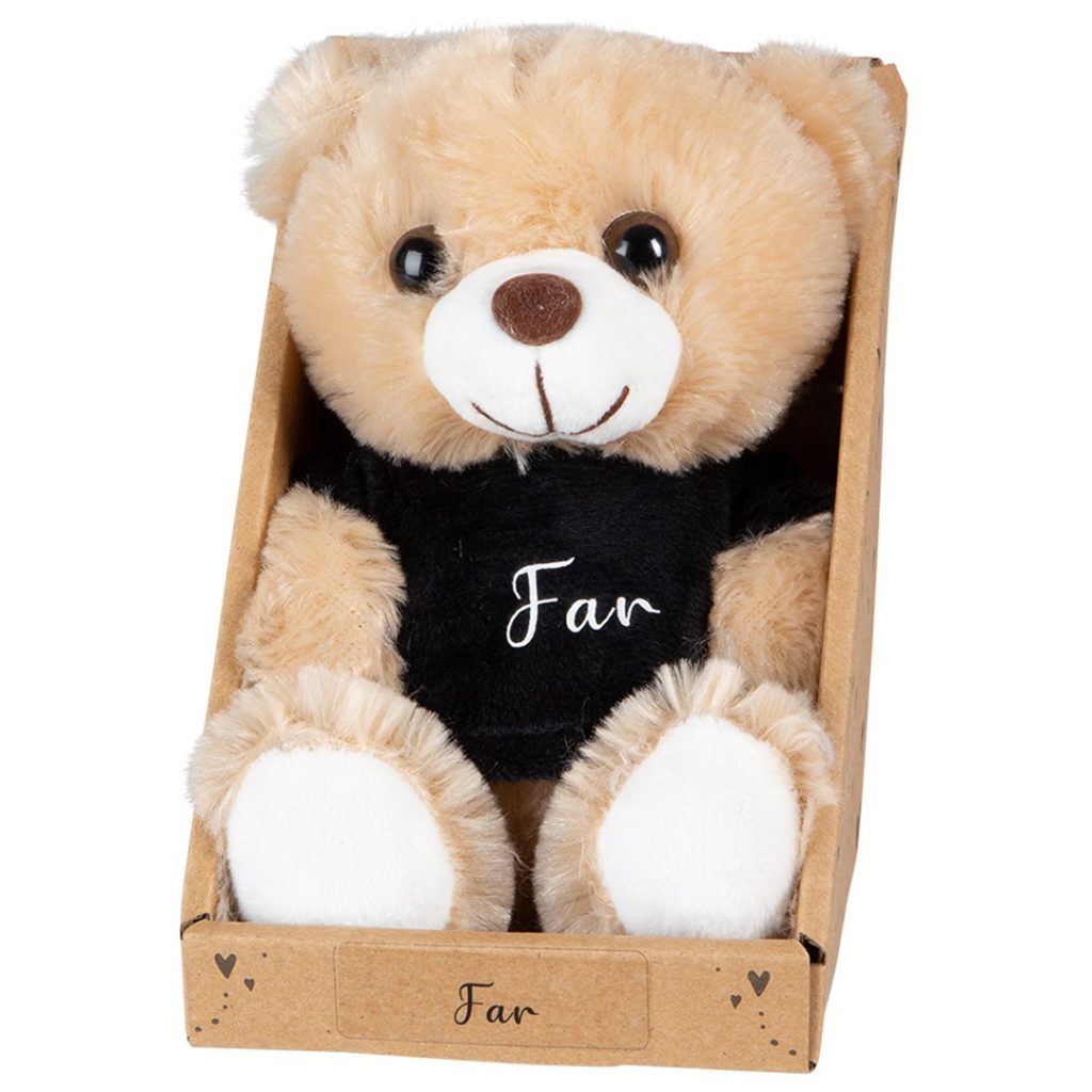 Teddybjørn far