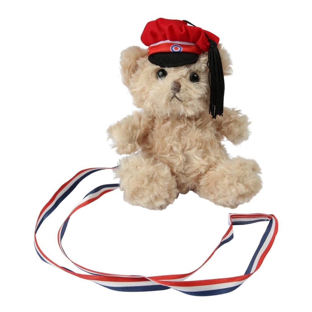 Plush bear graduation norway