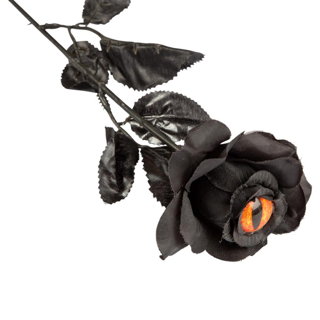 Svart rose m. øye i utstilling