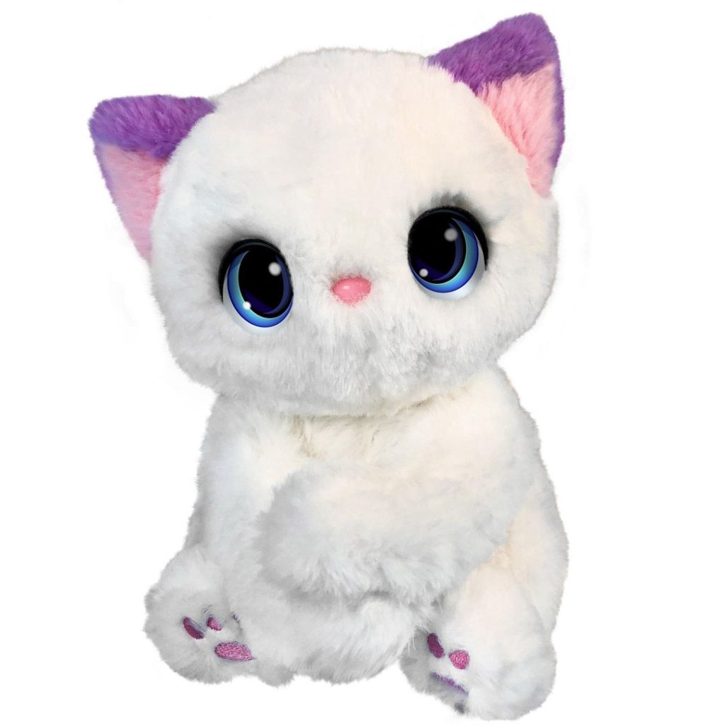 My fuzzy friend (kitty)