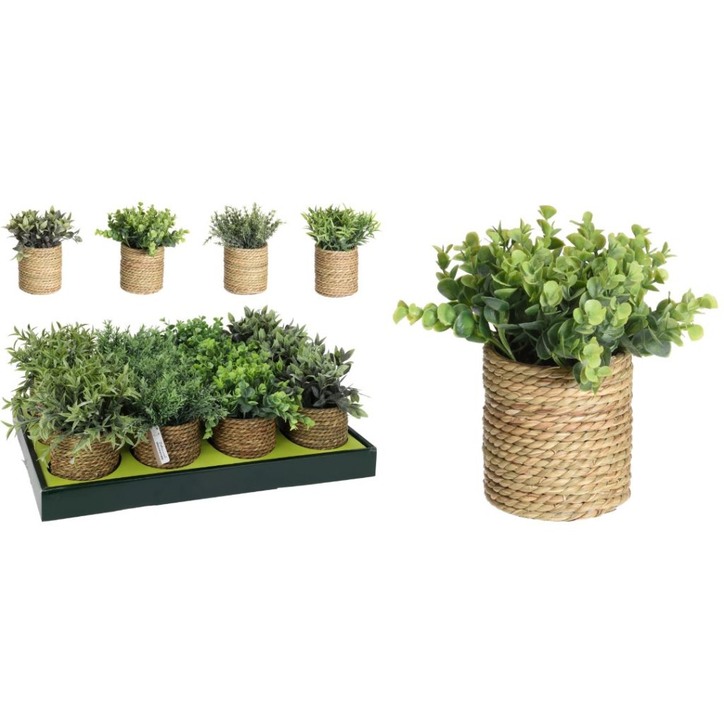 Plant i sjøgress potte 23 cm