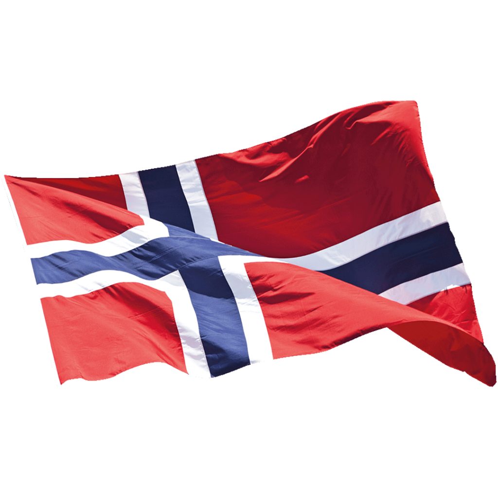 Norsk flagg 150x109cm