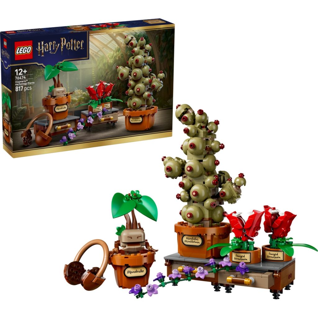 Lego urtologiplanter på galtvort