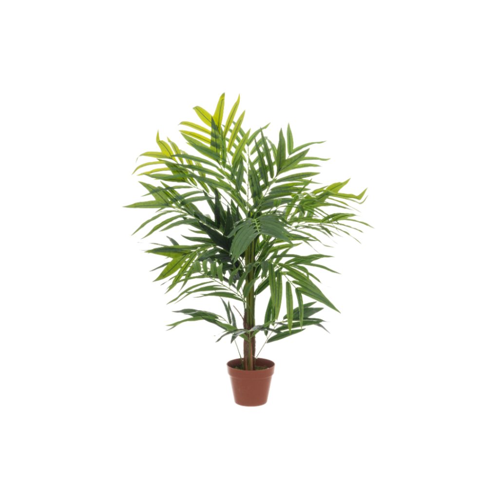 4living kentia palme 107 cm