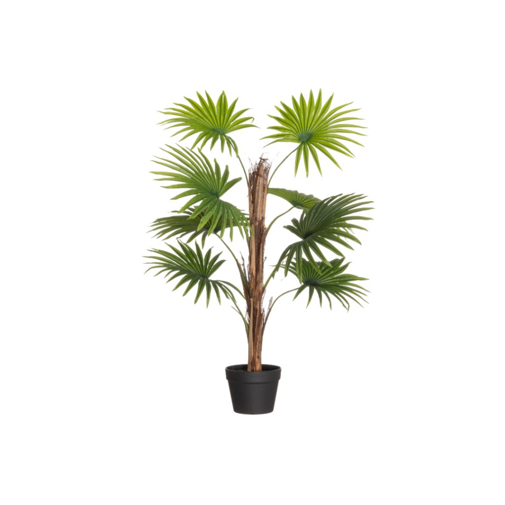 4living viftepalme i potte 90 cm