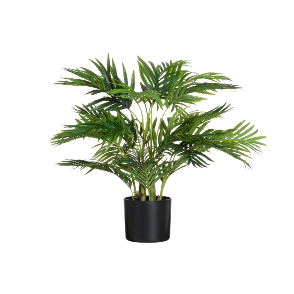 4living areca palme i potte 70 cm