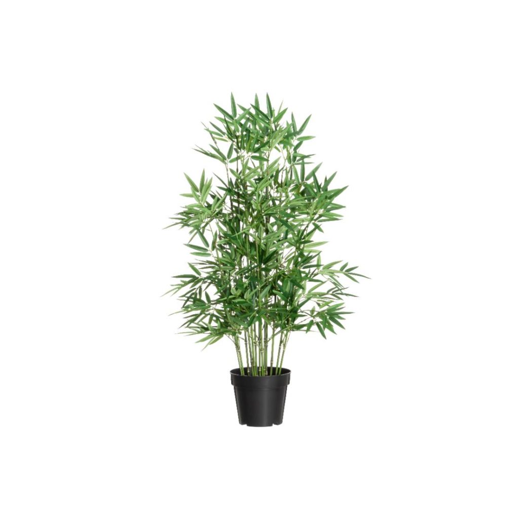 4living bambus i potte 100 cm
